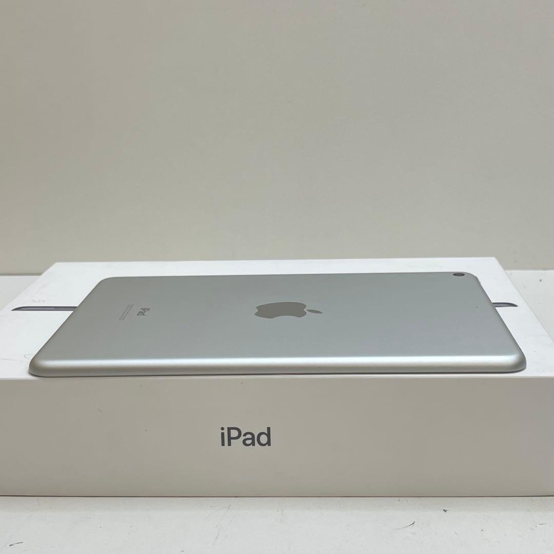 iPad Mini 第5世代 64GB Wi-Fi 100%