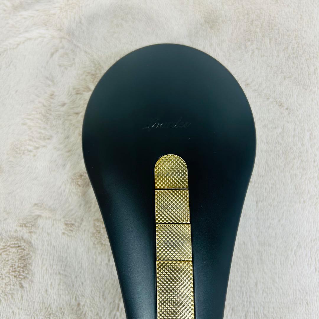 ルルド　美顔器　プラズマエステブラシ　アテックス　AX-NBL504bk