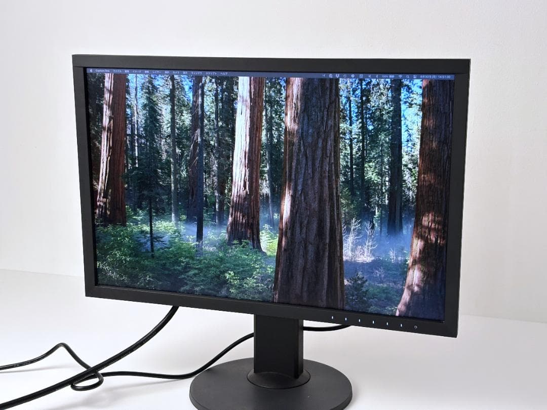 I*M様 EIZO モニター ColorEdge CS2420 24インチ