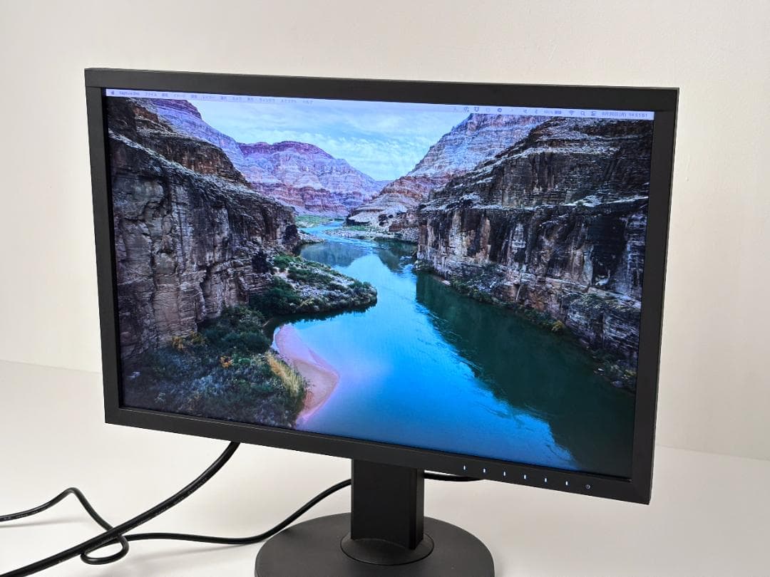 I*M様 EIZO モニター ColorEdge CS2420 24インチ