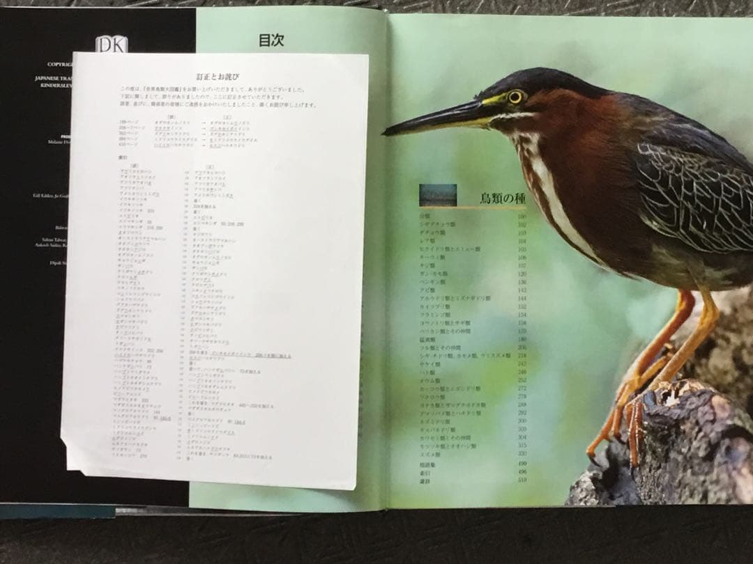 土日値下⭕️ 世界鳥類大図鑑　ネコ・パブリッシング 2009年刊　大判　堅牢造本