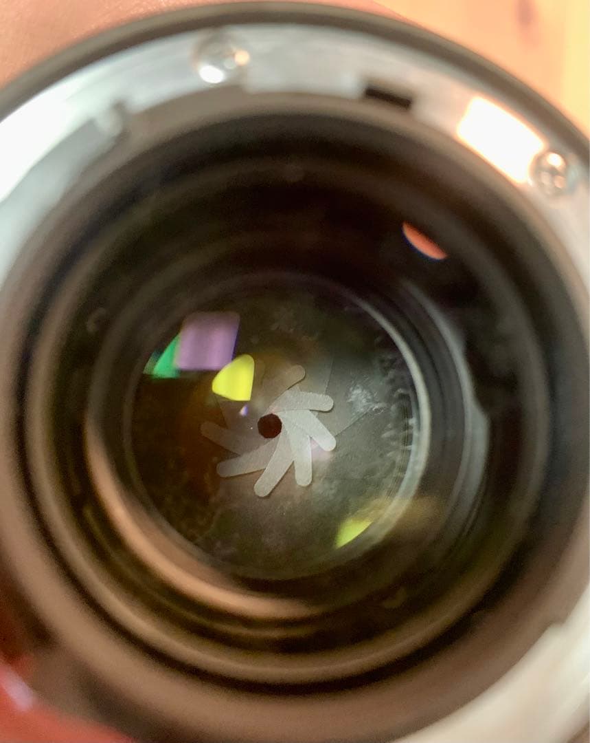 ニコン Nikon AF-S NIKKOR 24-70mm F2.8G ED