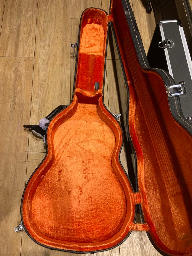 Epiphone les paul Standard レアカラー