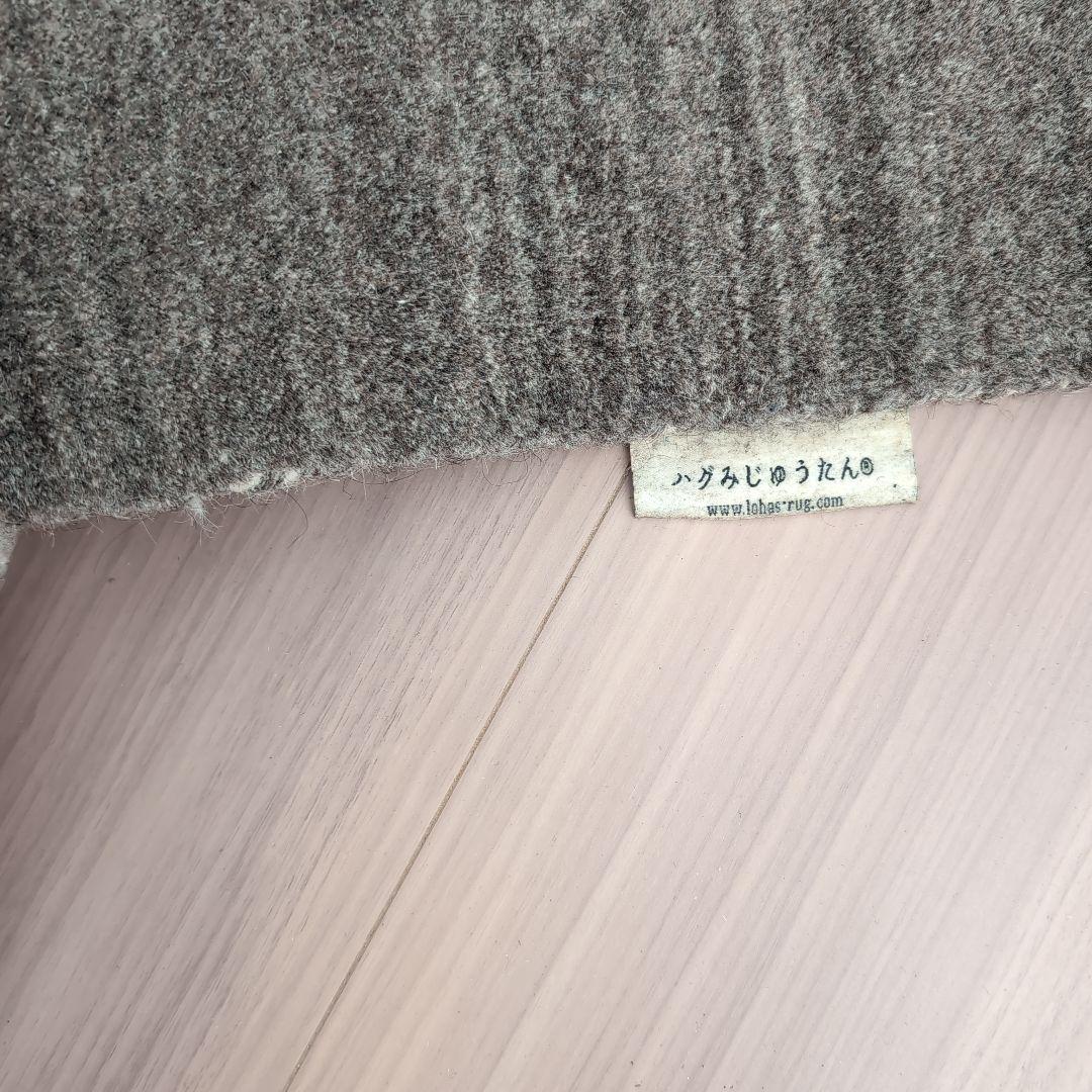 ハグみじゅうたん