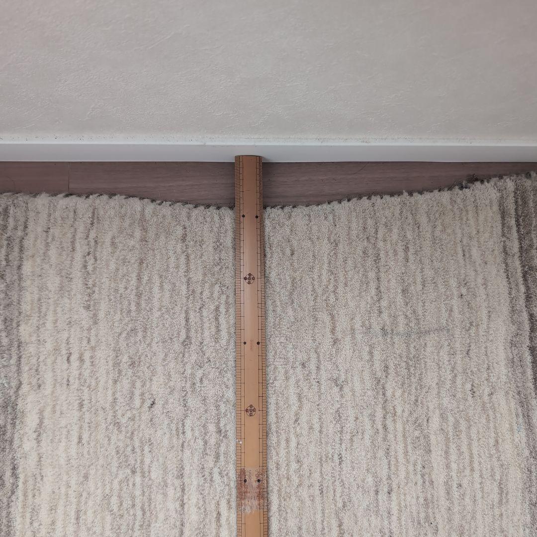 ハグみじゅうたん