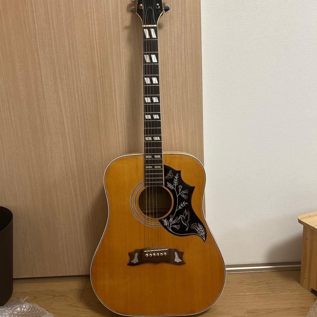 【レア品】pro martin w-35 アコースティックギター　ピックガード付