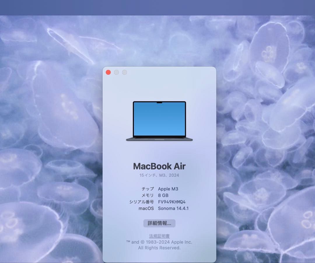 MacBook Air M3 8GB/SSD1TB 15インチ