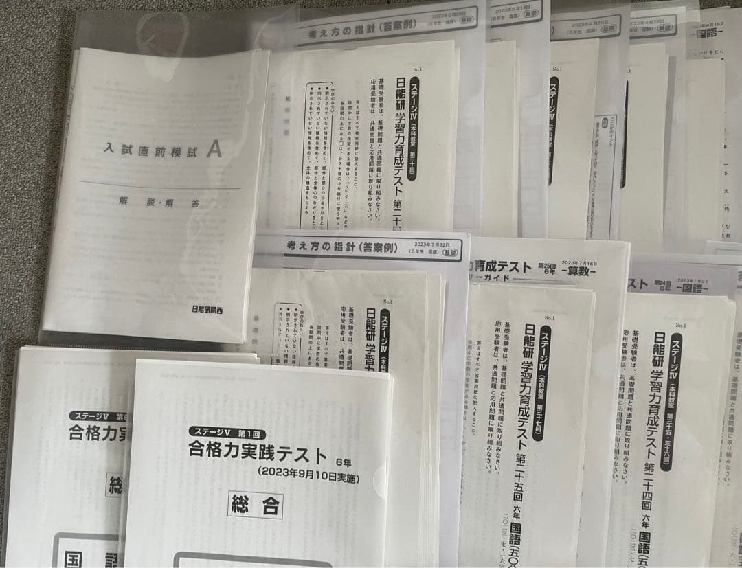 日能研 6年 学習力育成 合格力育成 合格力実践 テストほか 1年分