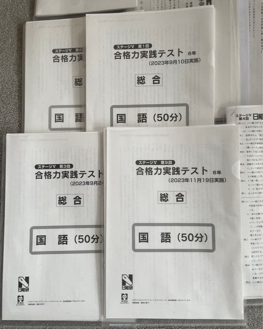 日能研 6年 学習力育成 合格力育成 合格力実践 テストほか 1年分