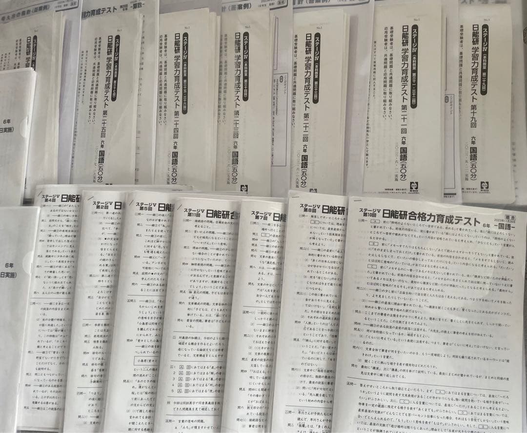 日能研 6年 学習力育成 合格力育成 合格力実践 テストほか 1年分