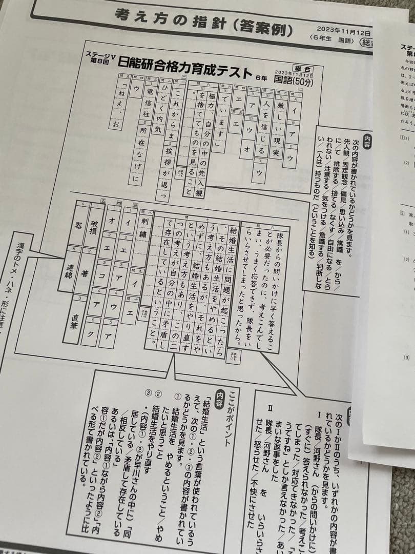 日能研 6年 学習力育成 合格力育成 合格力実践 テストほか 1年分