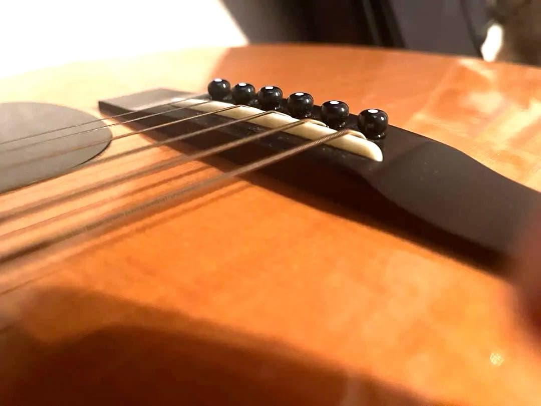 Morris W-35 ビンテージ アコースティックギター 国産 ケース付