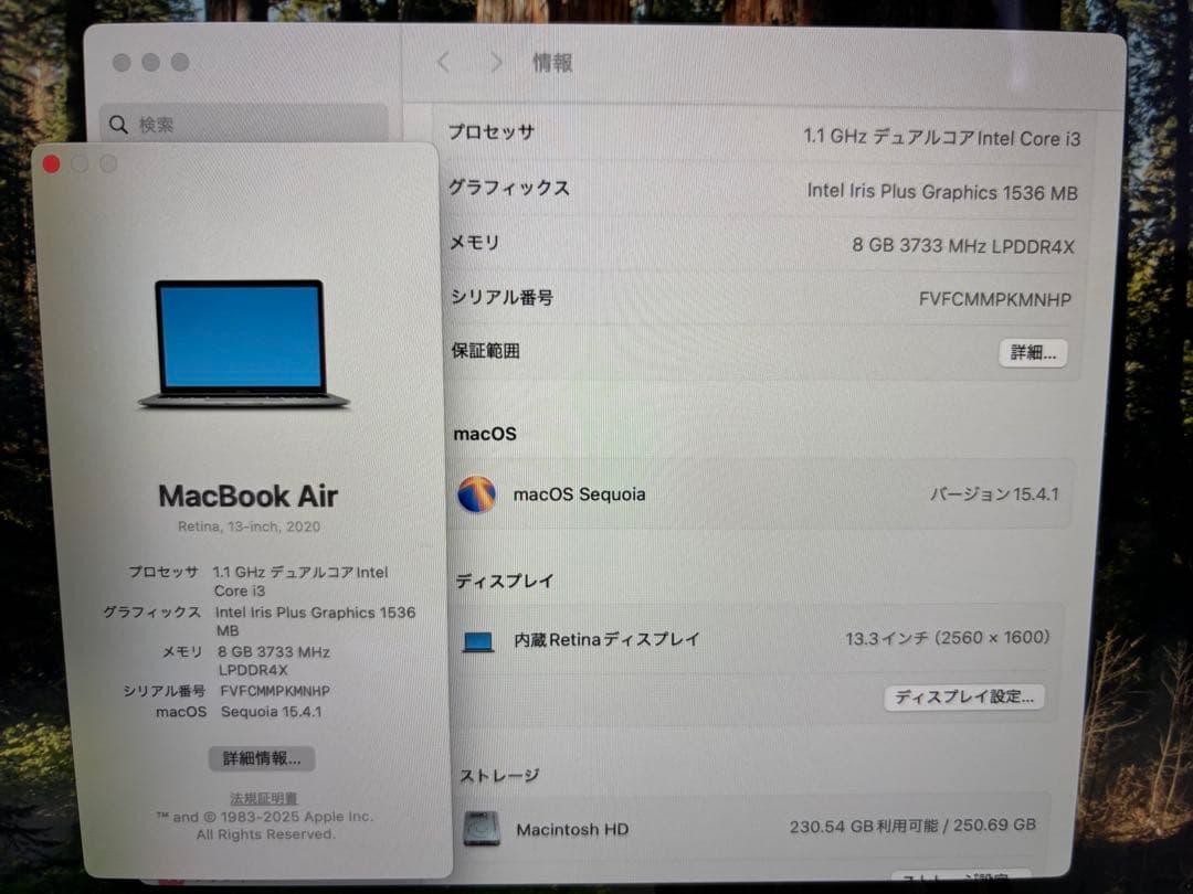 MacBook Air 2020 13インチ　A2179 256GB 8GB