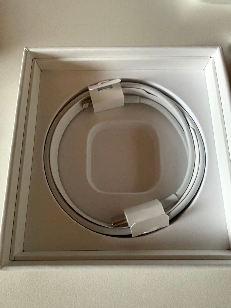 2021 AirPods Pro 本体