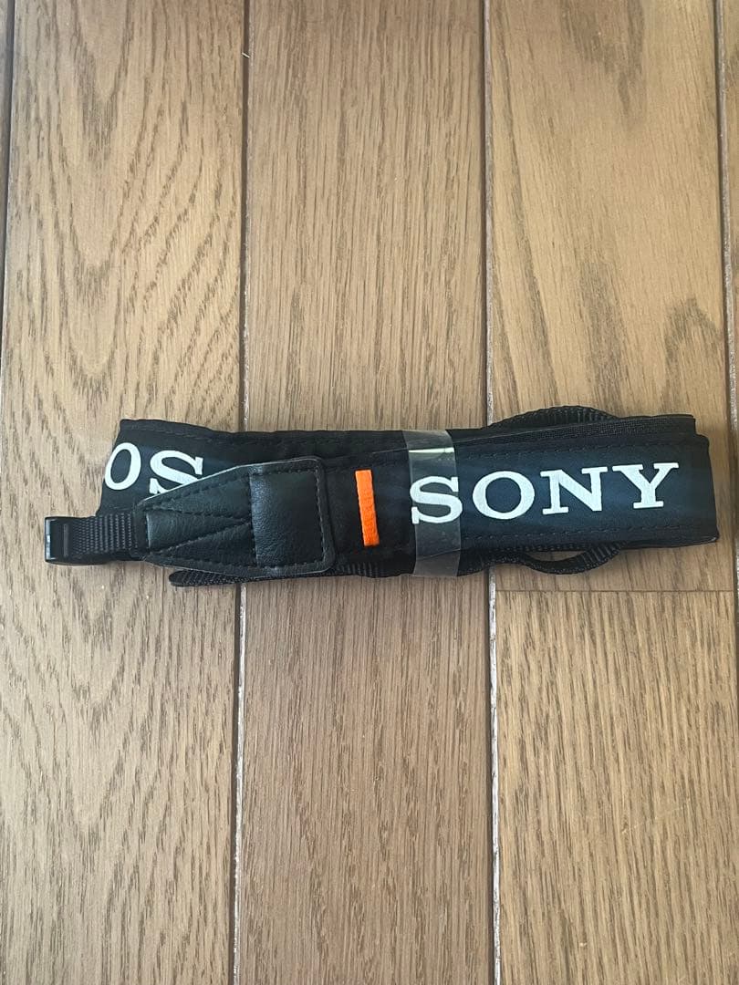 Sony α6400 高倍率ズーム ミラーレス一眼