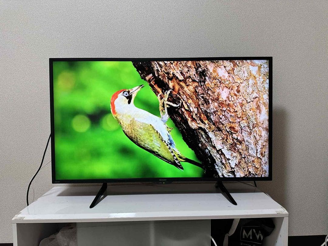 4K 対応SHARP 42インチ 液晶テレビ 2023年製4T-C42DH1