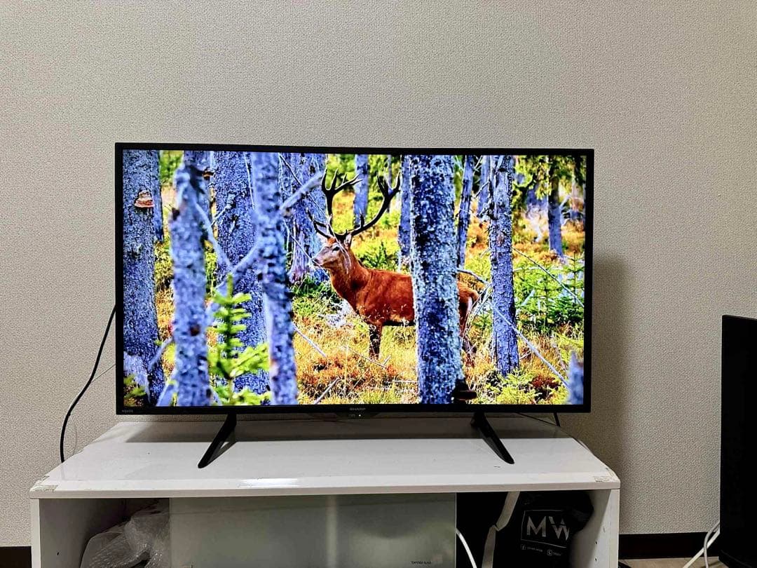 4K 対応SHARP 42インチ 液晶テレビ 2023年製4T-C42DH1