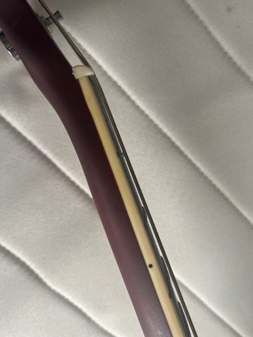 アコースティックギター カッタウェイ ツリーオブライフ ナチュラル