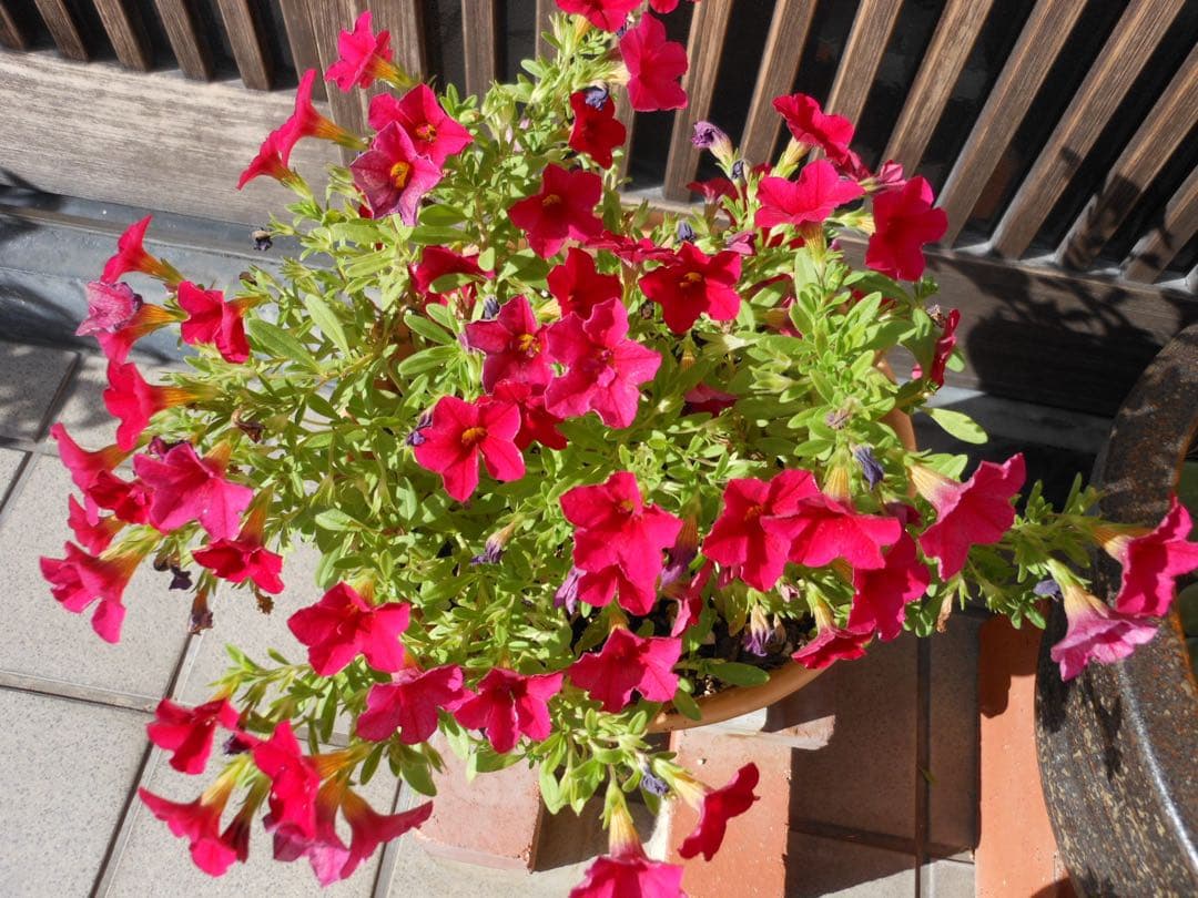 【動作品】Nikon COOLPIX S6100 コンデジ CCD