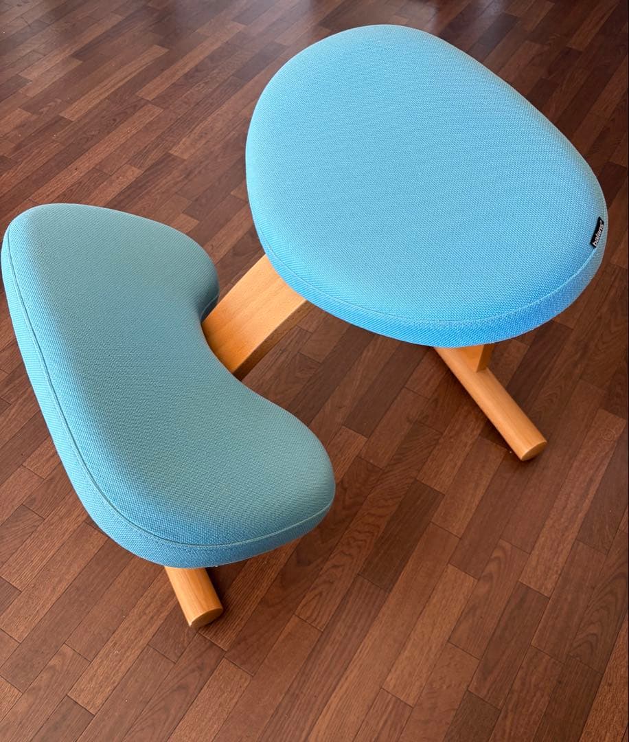 balans Easy バランスイージー サカモト バランスチェア