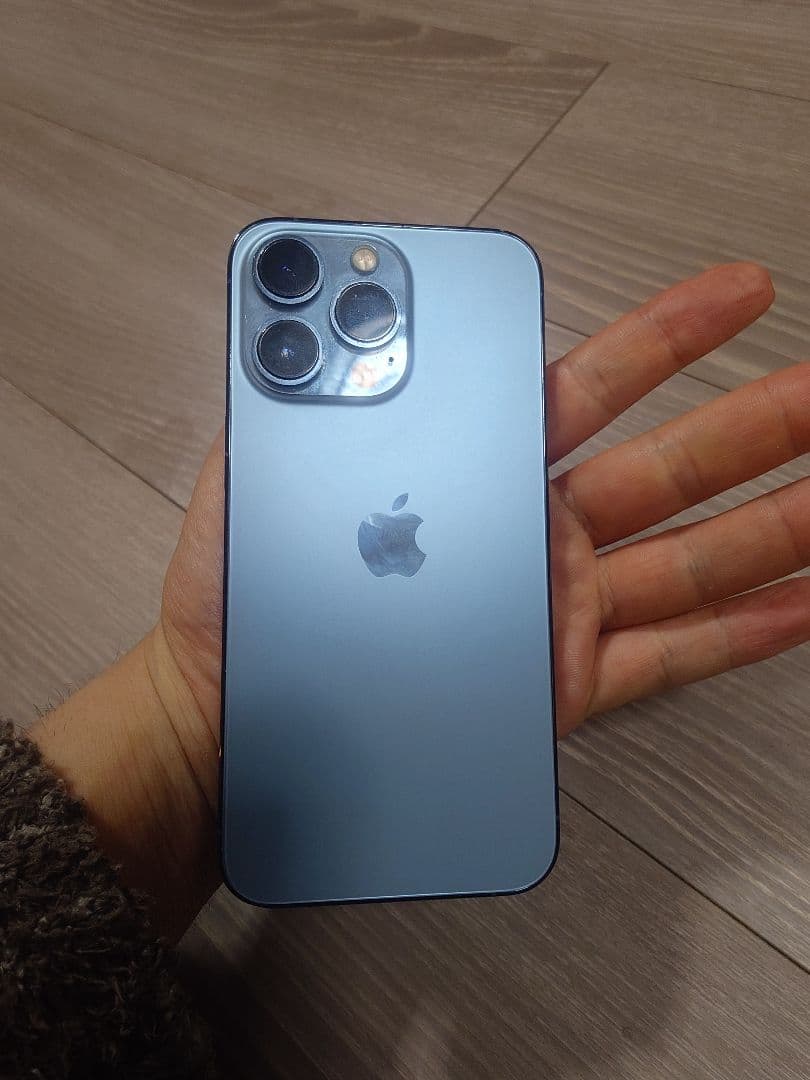 美品　Apple iPhone 13 PRO 256GB ケースつき