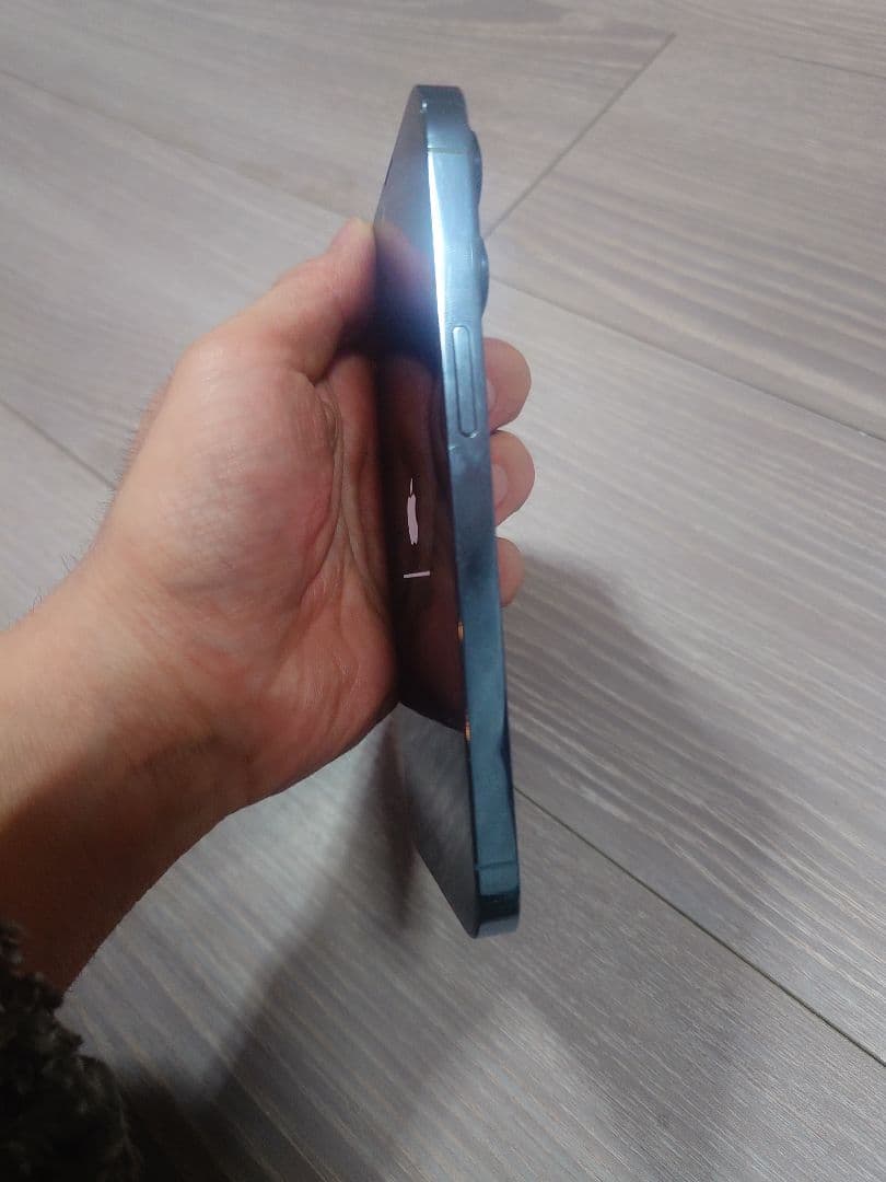美品　Apple iPhone 13 PRO 256GB ケースつき