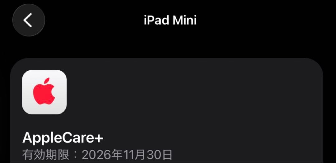 iPad Mini 第7世代 256gb Wi-fi AppleCare