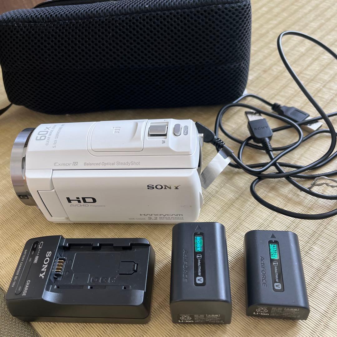 SONY HDR-CX405 ビデオカメラ 本体