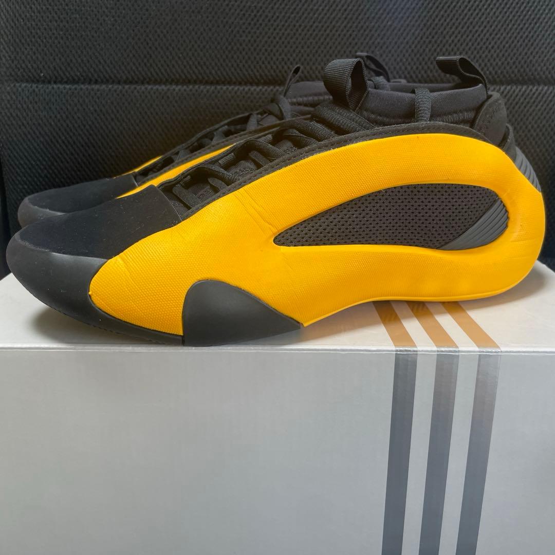 シューズ(男性用) Harden volume 8