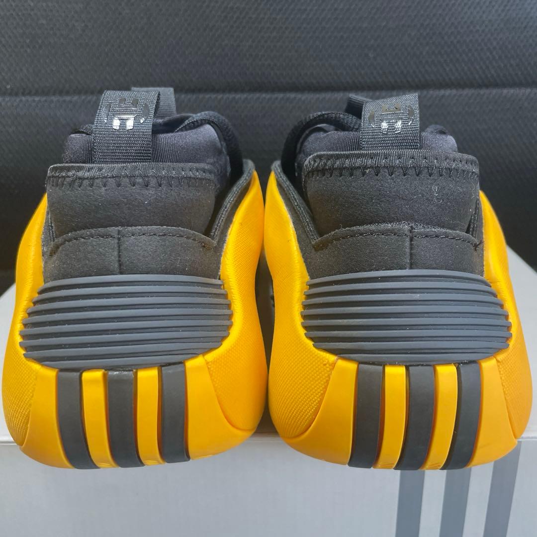 シューズ(男性用) Harden volume 8