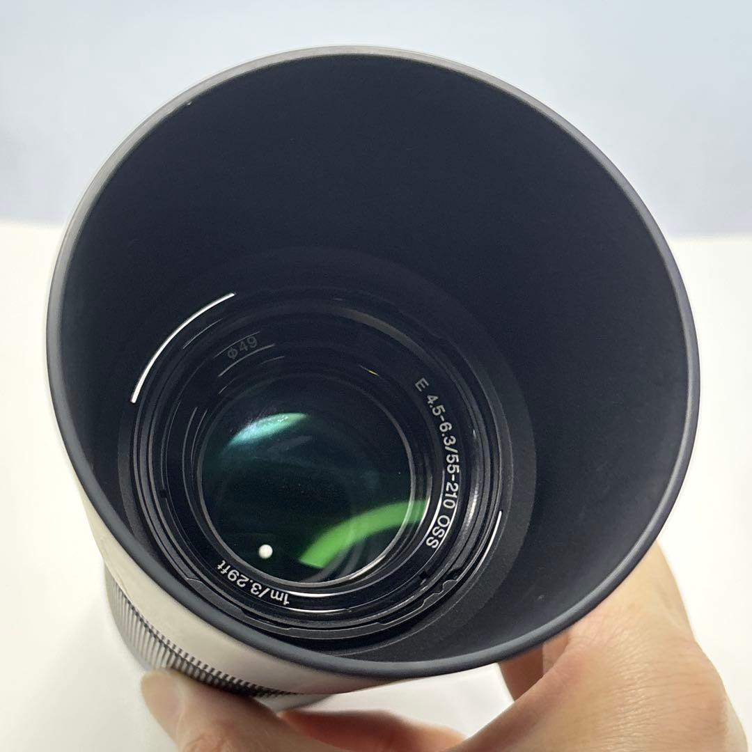 SONY α6000 ILCE-6000Y【ケース付】