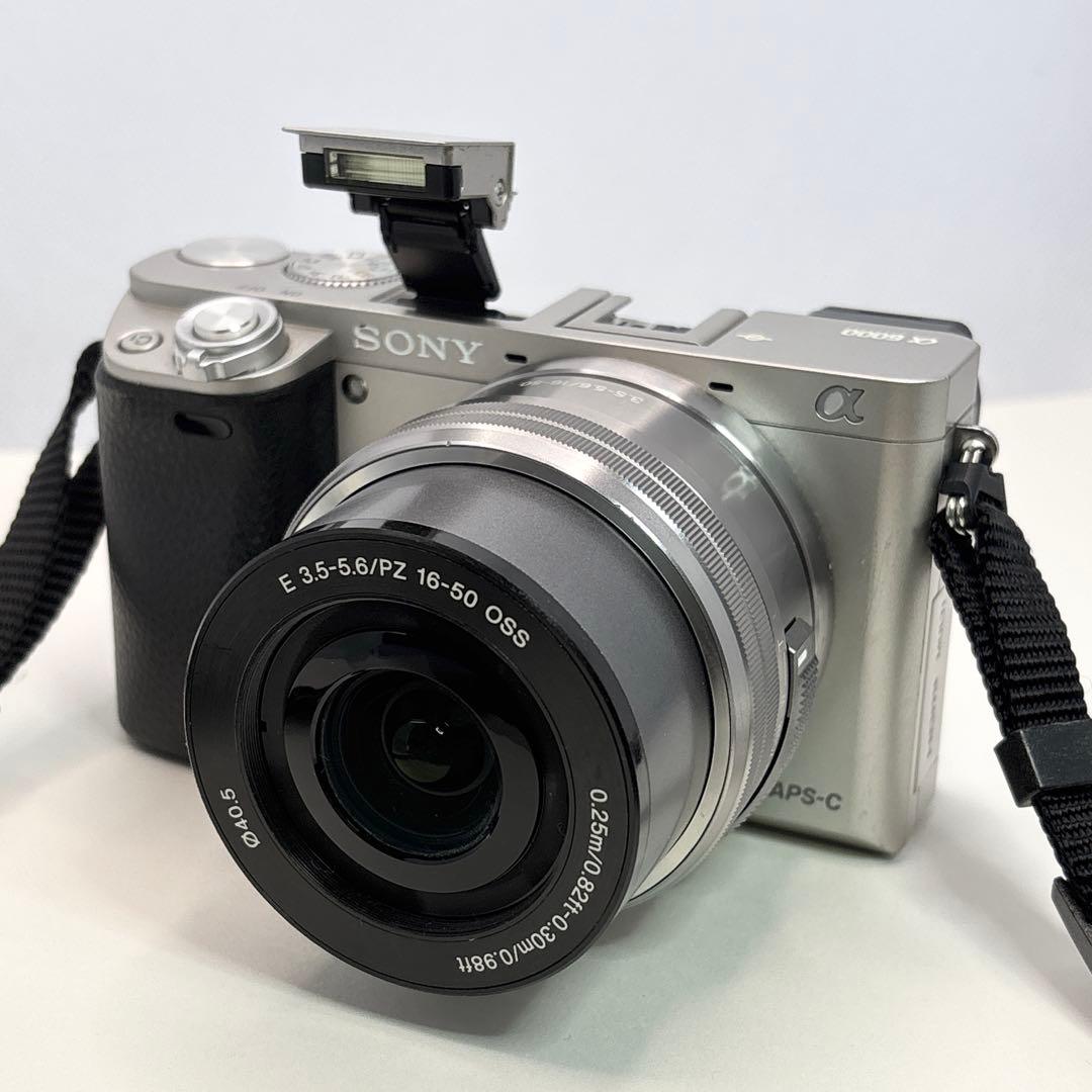 SONY α6000 ILCE-6000Y【ケース付】