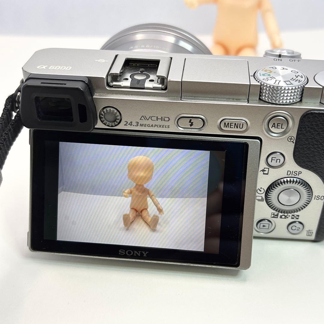 SONY α6000 ILCE-6000Y【ケース付】