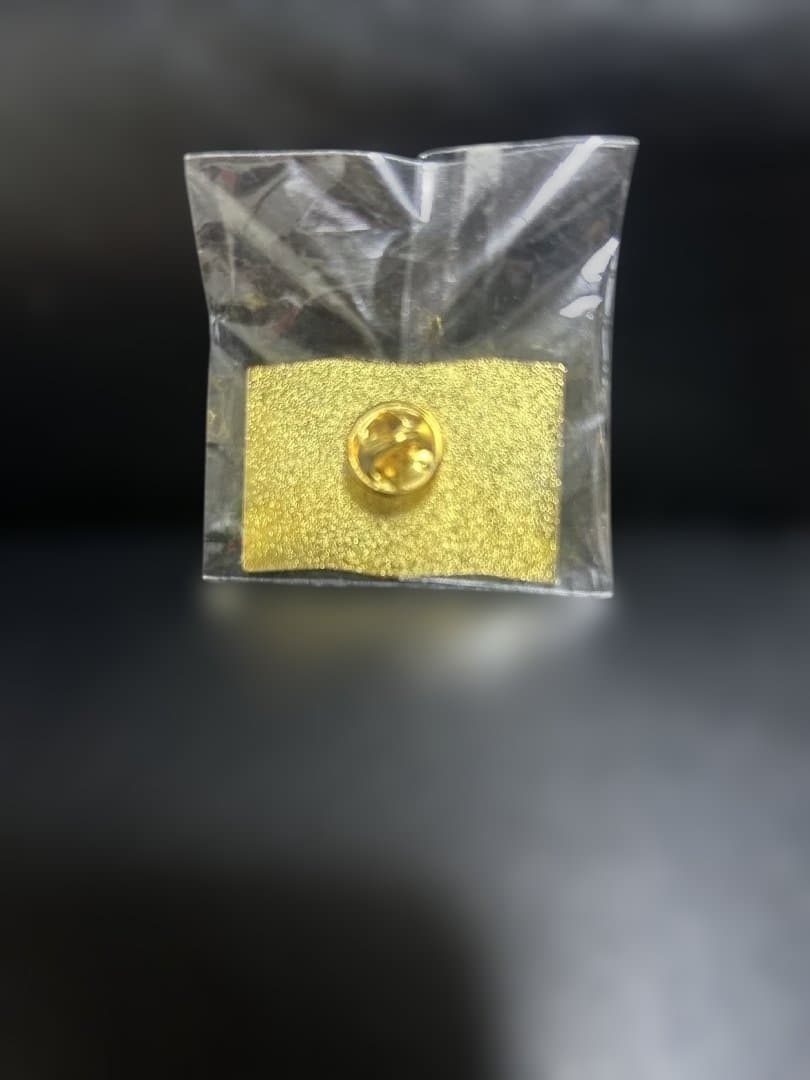 2020（2021）東京オリンピック ピンバッジセット♪