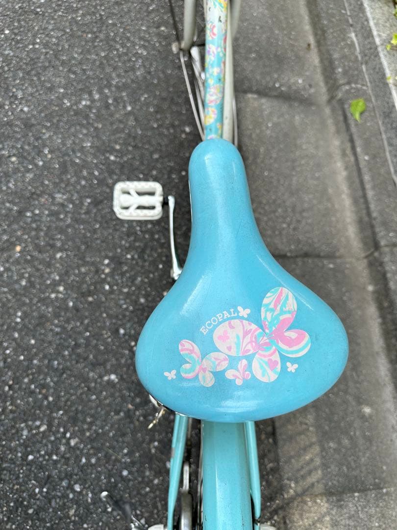 文京区引き取り限定です⭐︎ 水色 ブリヂストン ECOPAL グリーン 24インチ