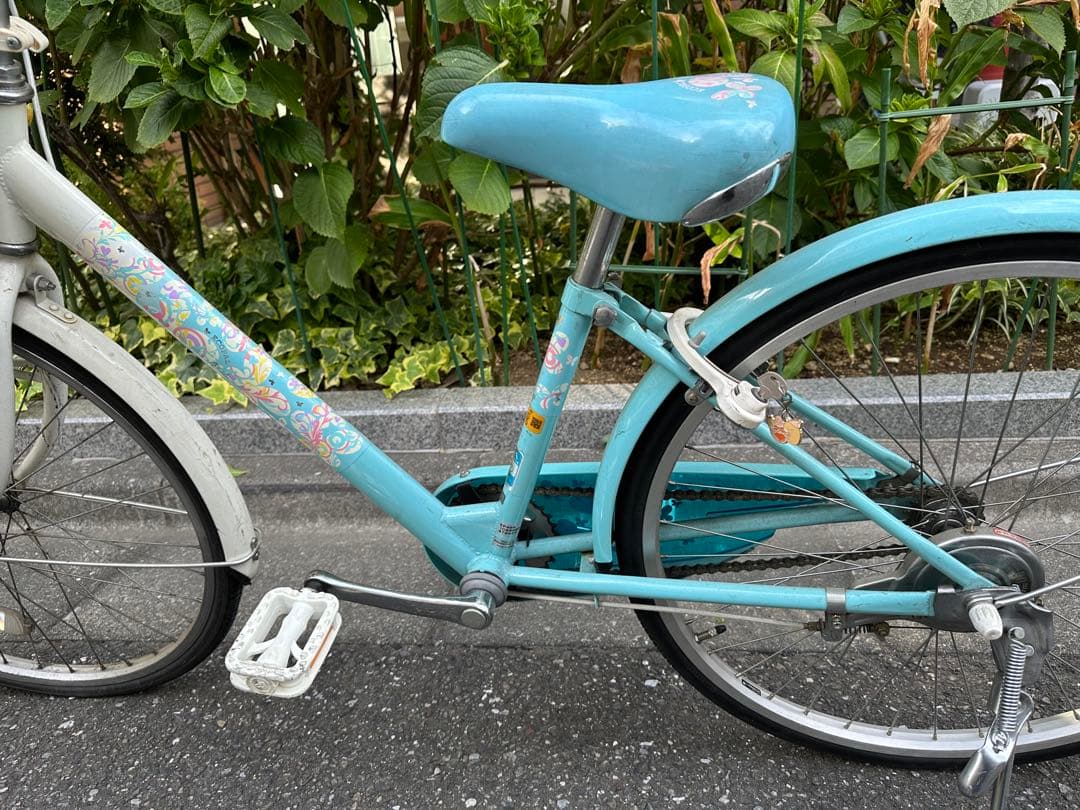 文京区引き取り限定です⭐︎ 水色 ブリヂストン ECOPAL グリーン 24インチ