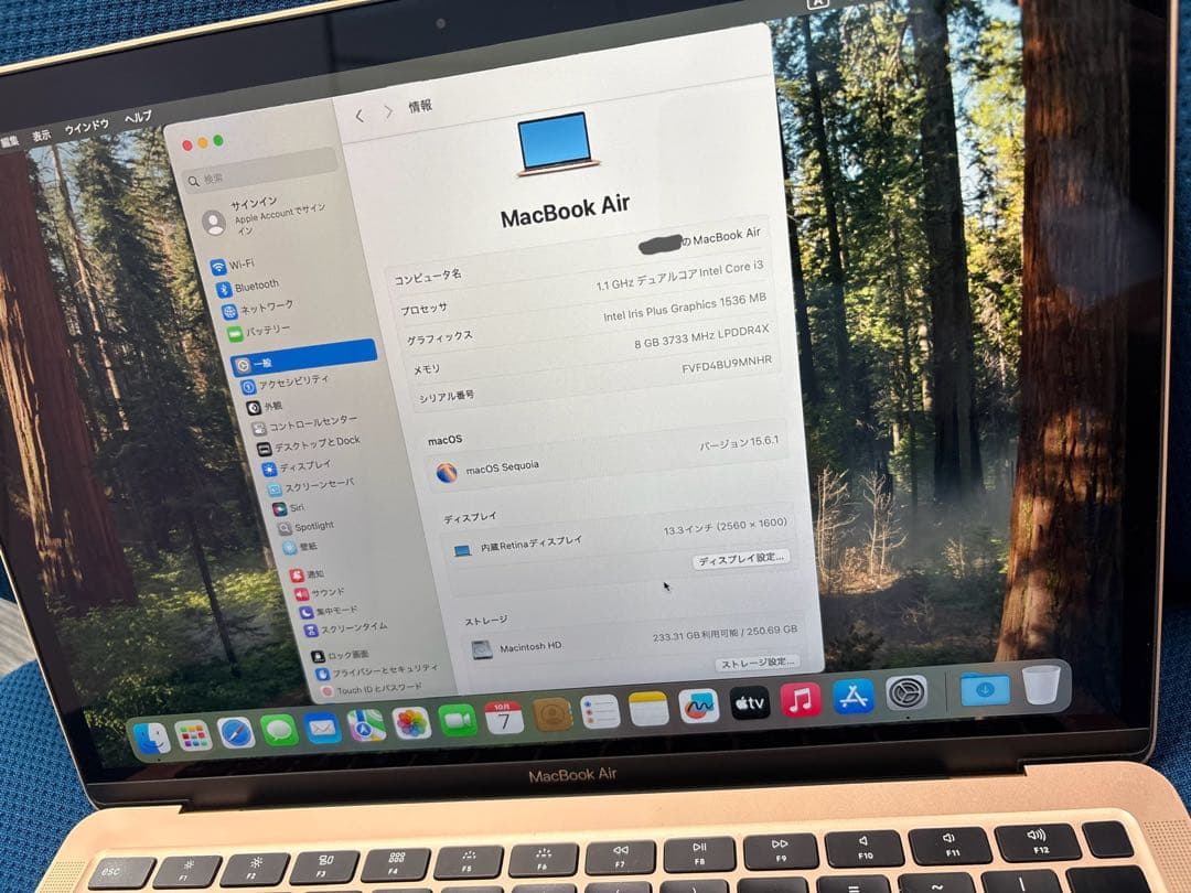 【ジャンク品】Apple MacBook Air ゴールド 本体