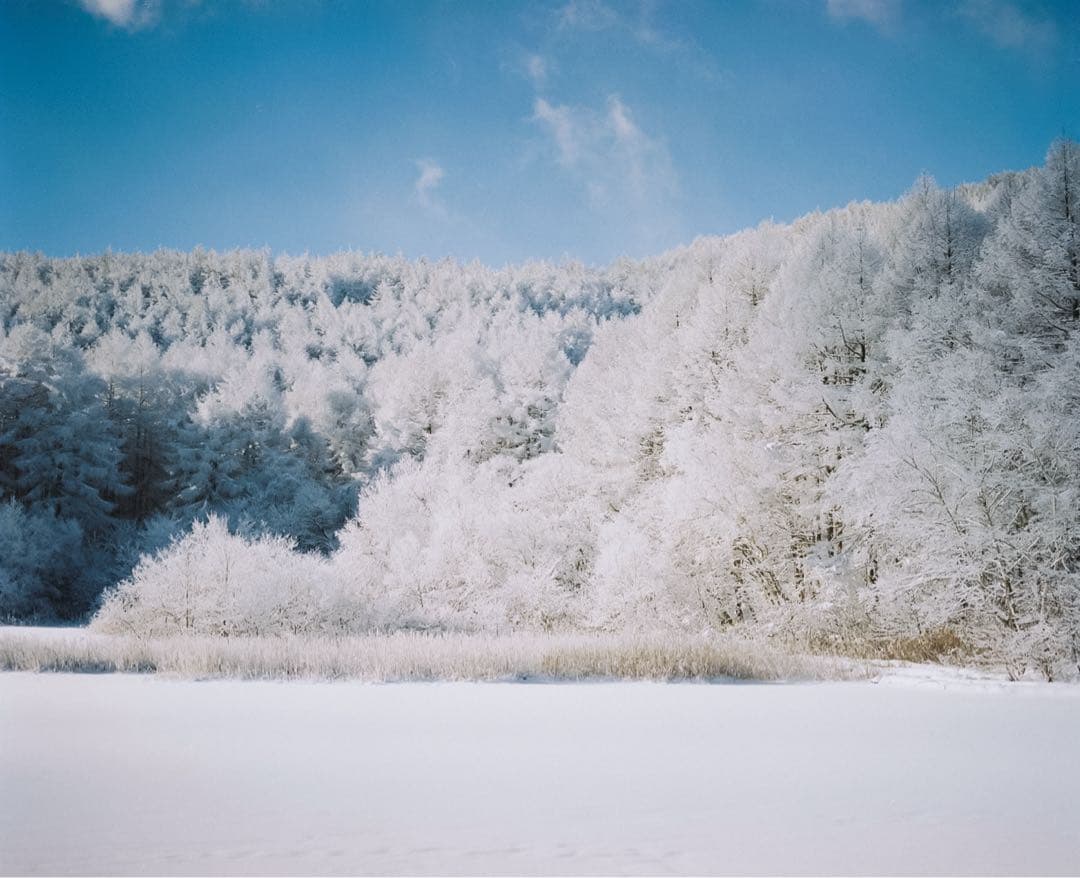 【撮影済み】Canon Autoboy TELE コンパクトカメラ②