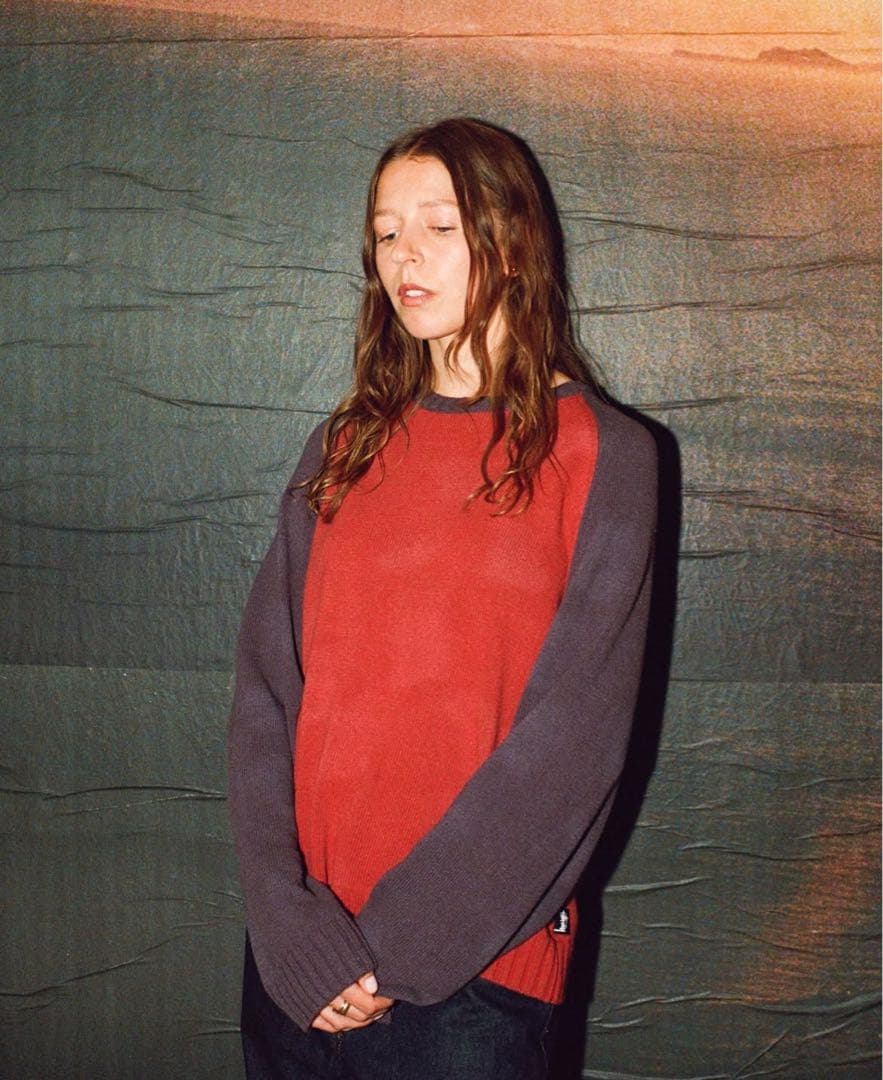 トップス STUSSY COLORBLOCKED RAGLAN KNIT CREW L