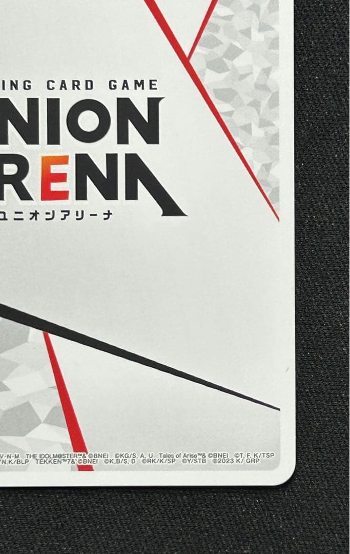 アクションポイント ACTION POINT CHAMPIONSHIP 2023