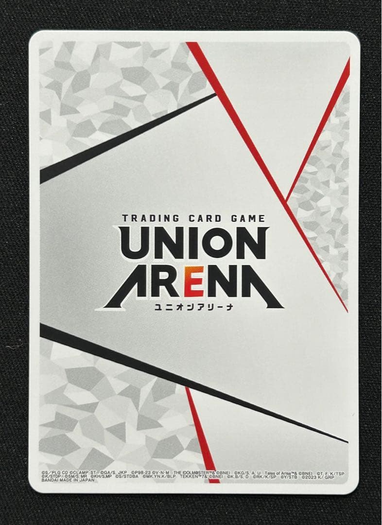 アクションポイント ACTION POINT CHAMPIONSHIP 2023