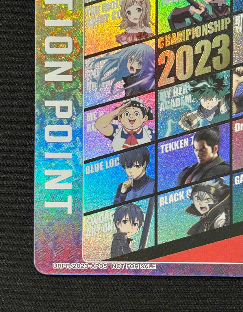 アクションポイント ACTION POINT CHAMPIONSHIP 2023