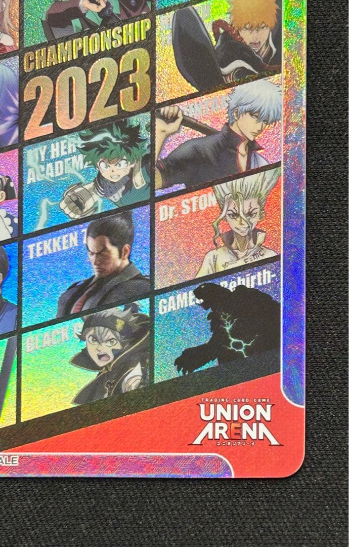 アクションポイント ACTION POINT CHAMPIONSHIP 2023