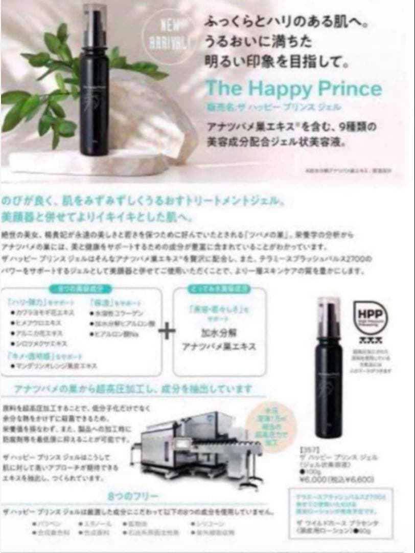 テラミースプラッシュパルス2700/グラント美顔器