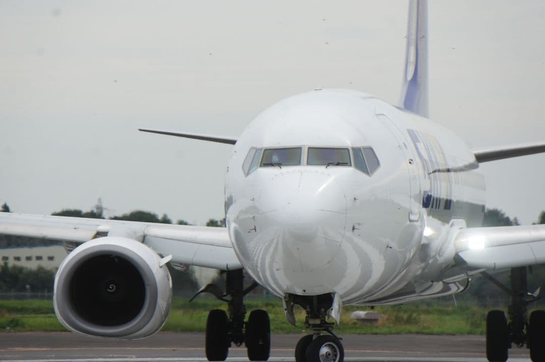 LIGHTDOW 420-800mm 望遠レンズ ソニー用アダプター付