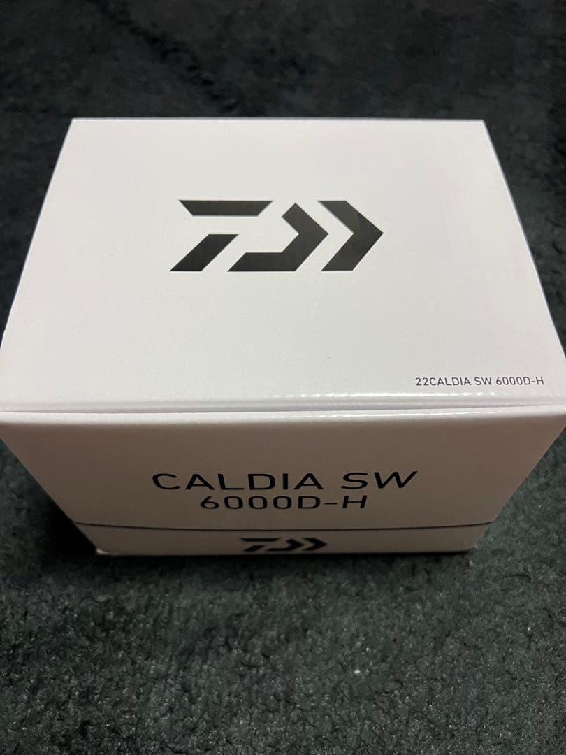 DAIWA CALDIA SW 6000D-H カバーおまけ付き