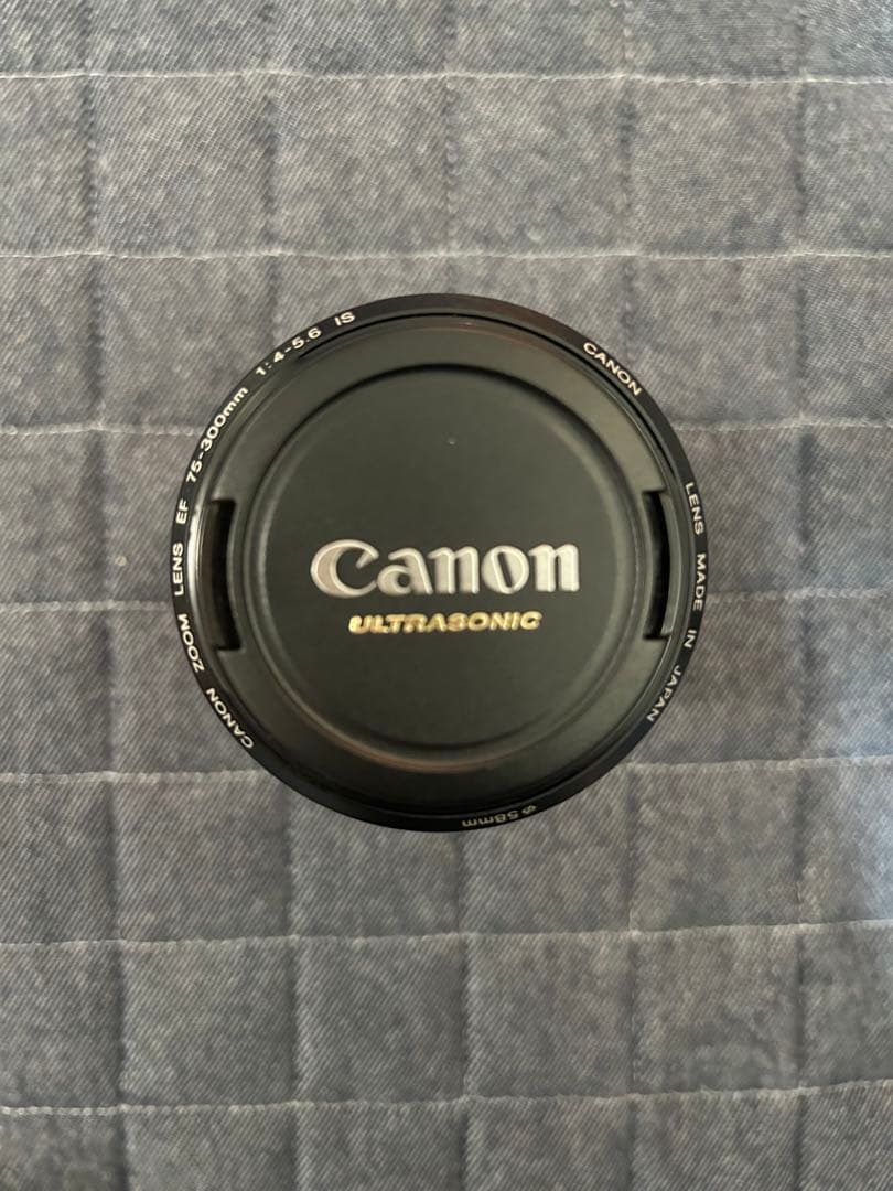 レンズ(ズーム) Canon EF 75-300mm IS USM