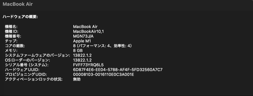 Apple MacBook Air M1 13インチ MagicMouce付き