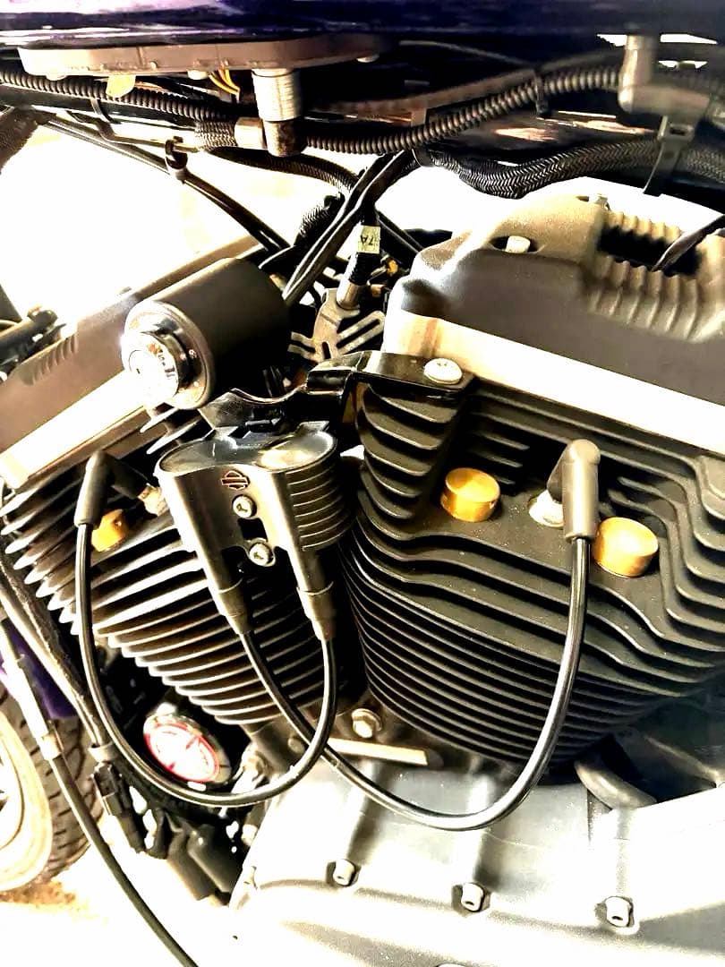 スポーツスター 真鍮製パーツセット ヘッドキャップ メーターリング ペダルカバー