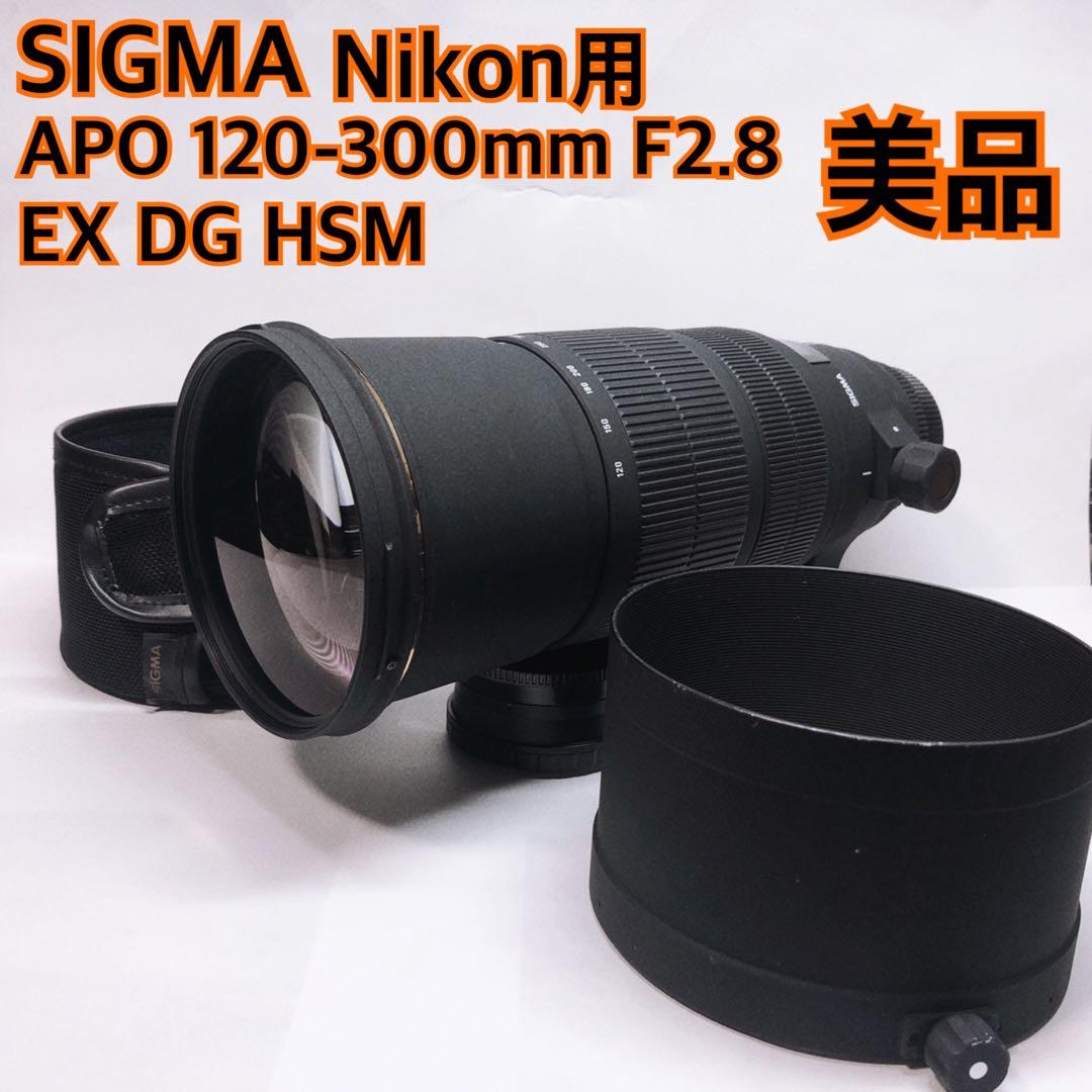 レンズ(ズーム) SIGMA APO 120-300mm F2.8 EX DG HSM Nikon